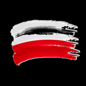 PRZEM-DE