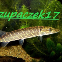 Szczupaczek17