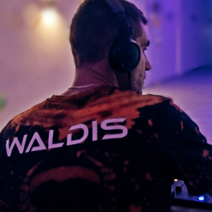 Waldisso